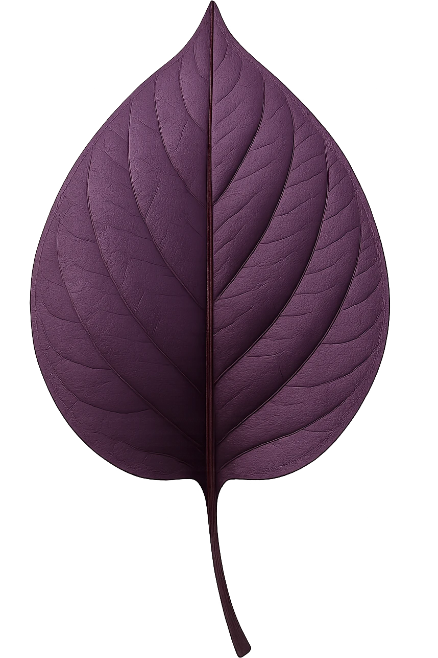 purple leaf , remove background emoji