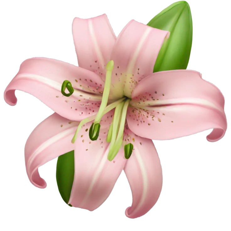 light pink lilium emoji