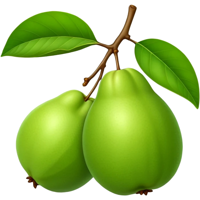 A green guava with a leaf attached emoji