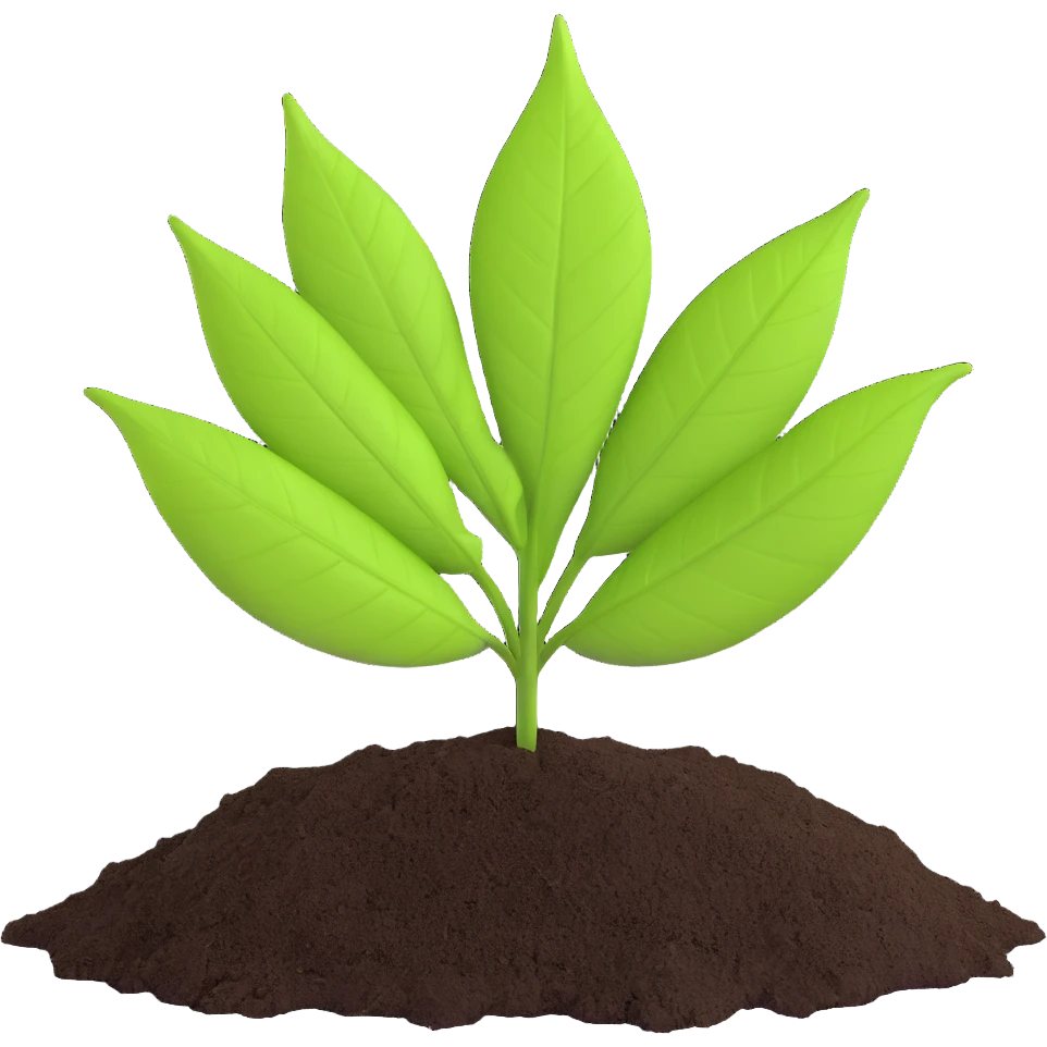 A fresh green leaf placed on soil or grass, clearly above the ground. emoji