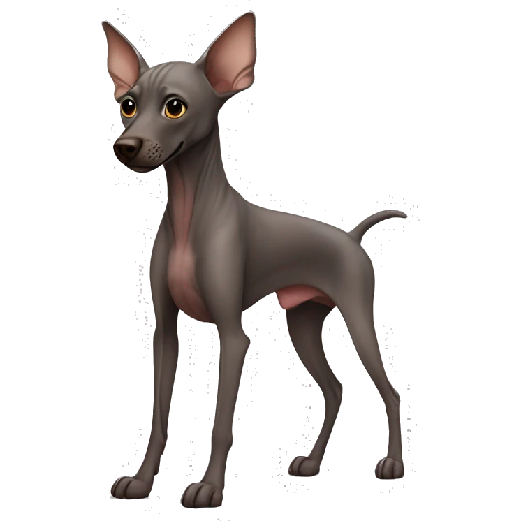 Hairless dog with dark brown skin xoloitzcuintle emoji