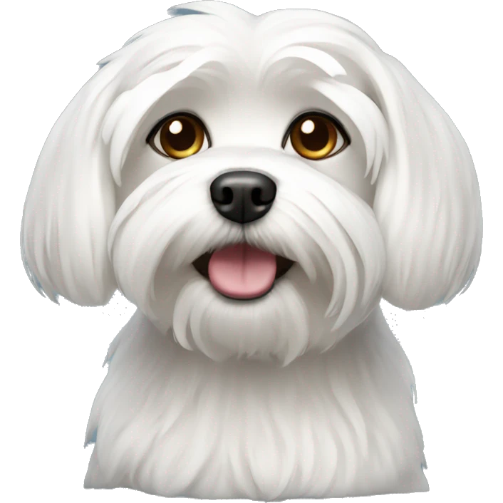 Maltese dog  emoji