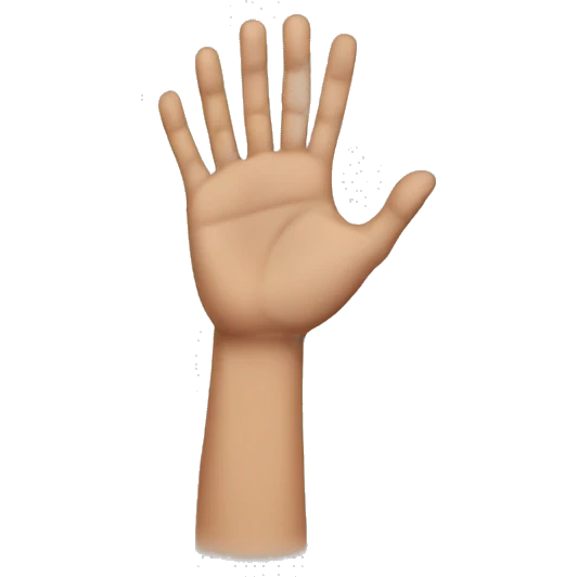 Han hands emoji