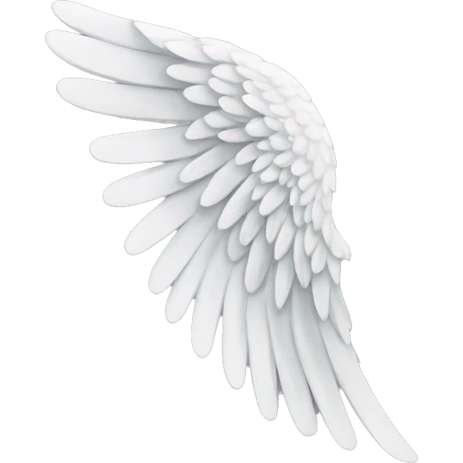 Angel Wing  emoji