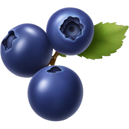 Blueberries  emoji
