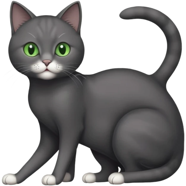 full body gorgeous solid dark grey cat with green eyes, white paws and white whiskers stretching like a cat emoji