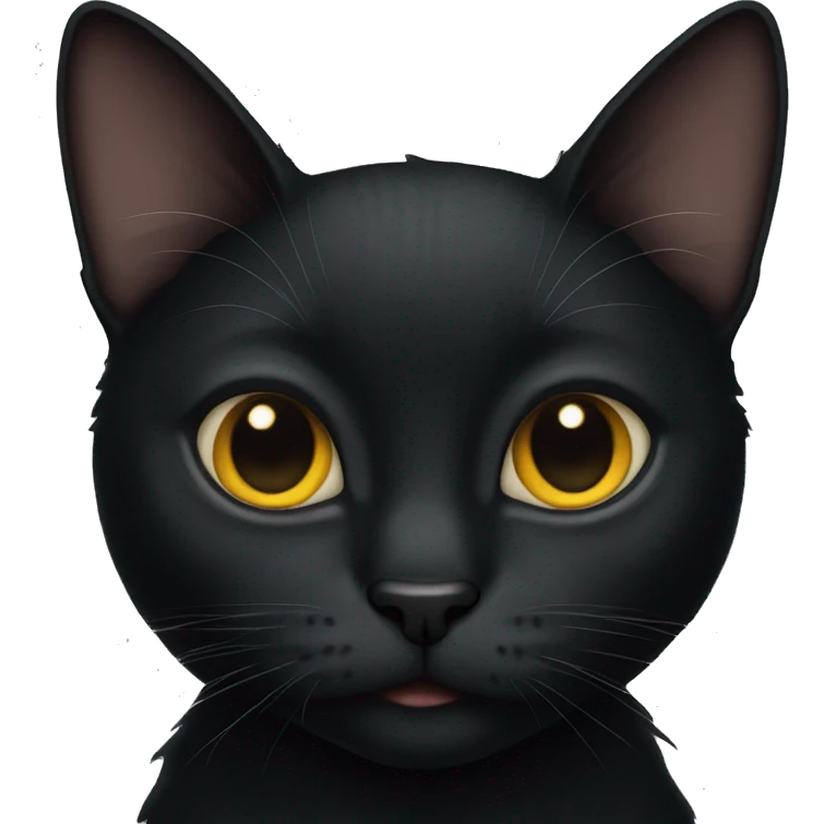 black cat emoji
