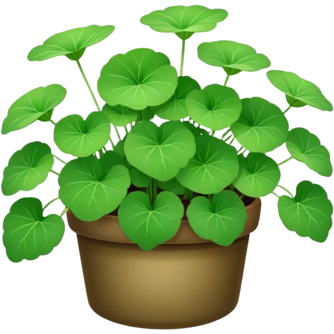 Centella asiatica  emoji