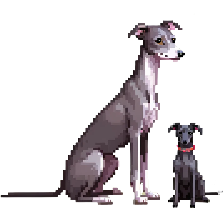 A young Chinese girl with long black hair and a dark grey Italian Greyhound with absolutely no white marks on its body or nose sitting under a cherry blossom tree emoji