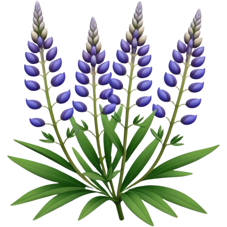 Realistic Still life ultra detailed, Lupine Lupinus emoji