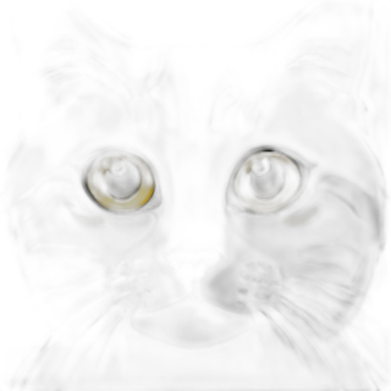 Silver marble Scottish straight cat with yellow eyes emoji