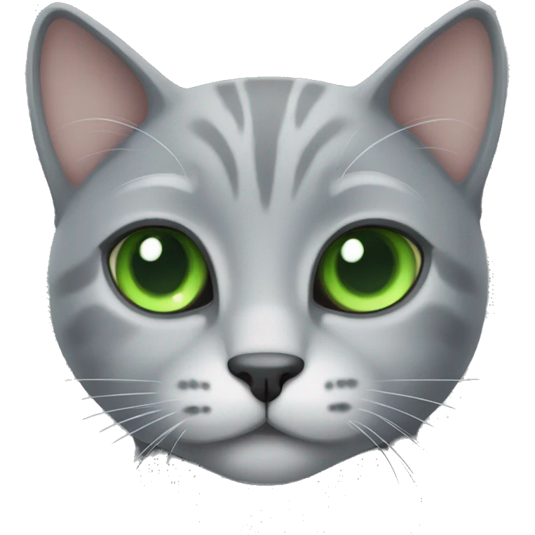 Cute Grey cat with green eyes  emoji