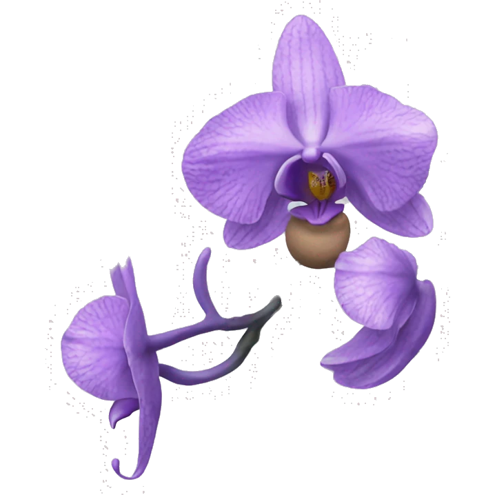 orchidea blu  emoji