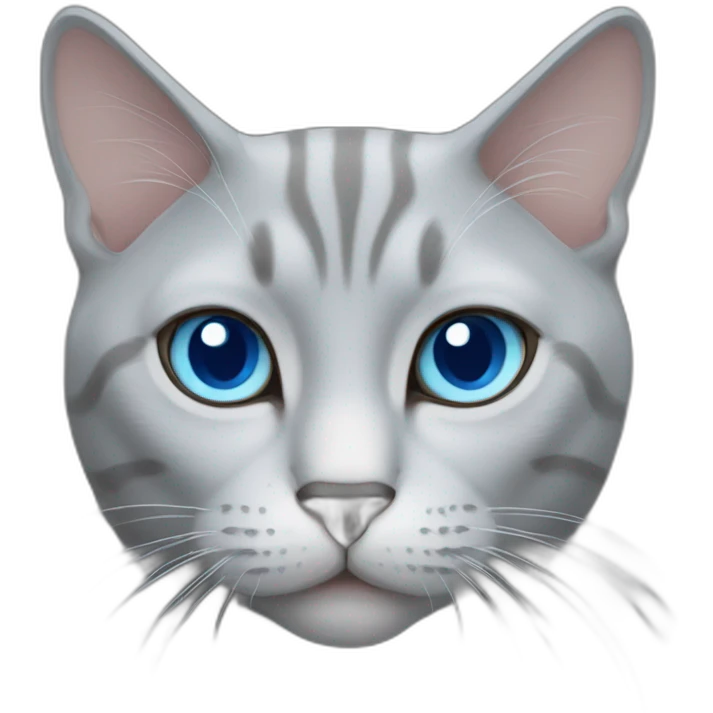 Grey Thailand cat blue eyes  emoji