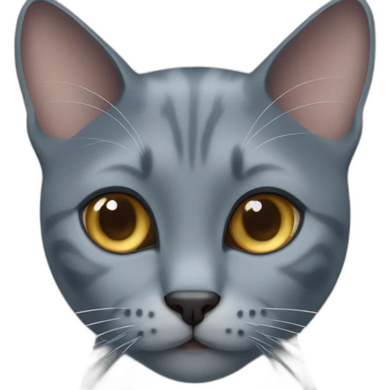 Grey cat blue eyes emoji