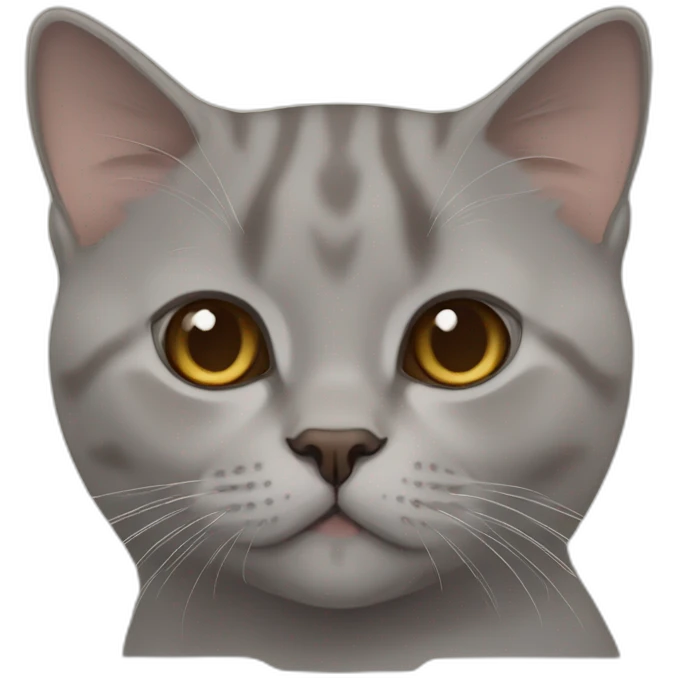 cinnamon color thin british shorthair emoji