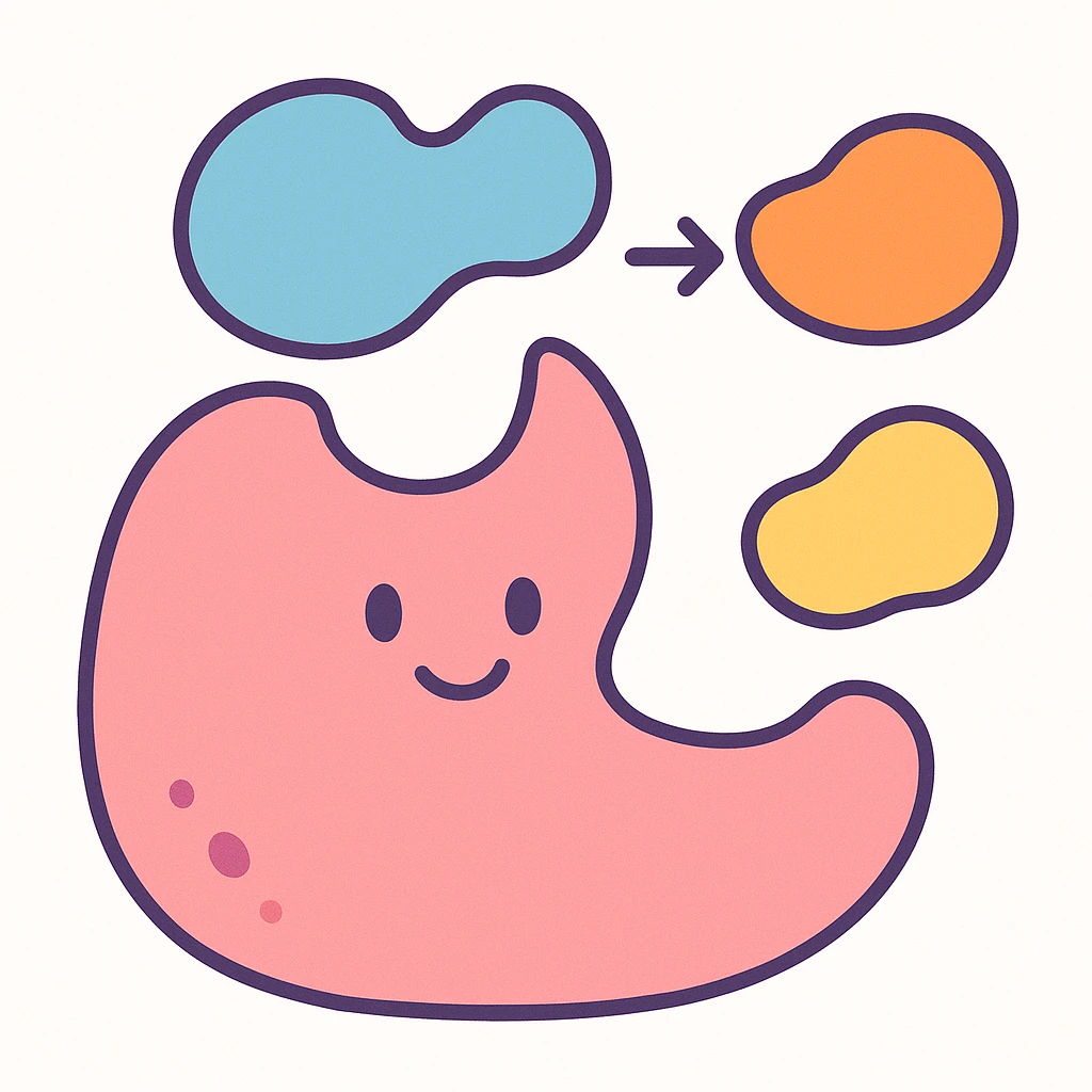 Ultra-detailed scientific illustration  (like in a school book) of enzyme digestion. Macro molecular view, clean white background, no text, no human figures or cartoon characters. Purely biological focus. emoji