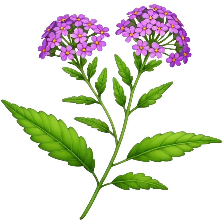 single Verbena flower, leaf,bud emoji