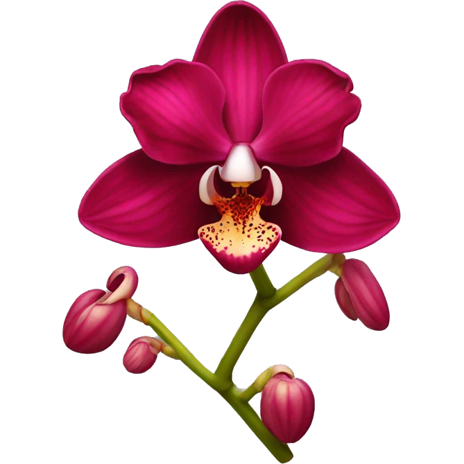 Red orchid emoji