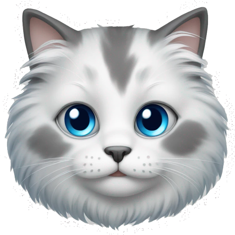 Fluffy white grey cat with blue eyes emoji
