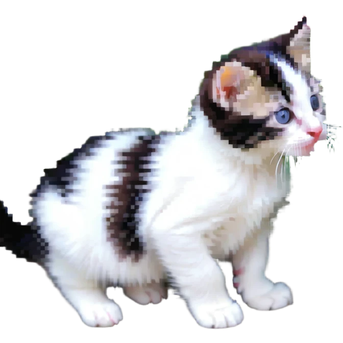 Kitten smells flowers emoji