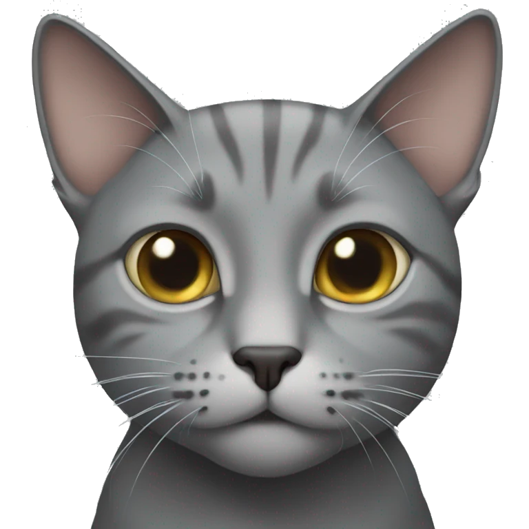 grey cat  emoji