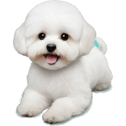 White maltipoo yoga mat emoji