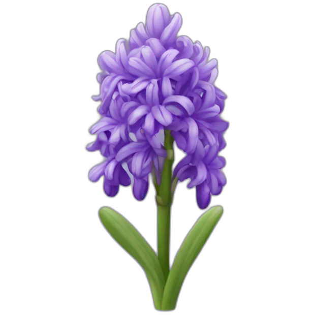hyacinth flower emoji