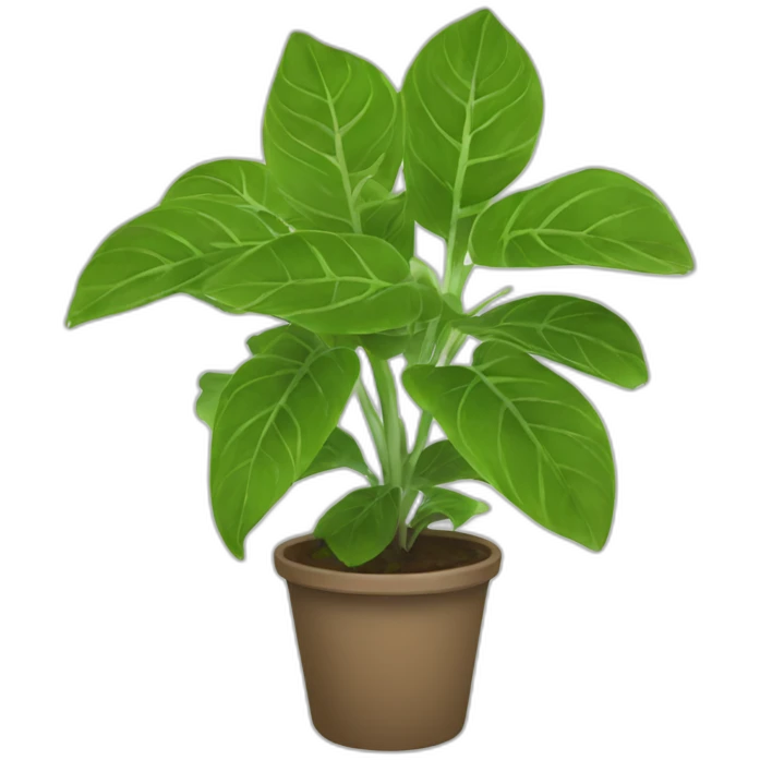 epipremnum aureum emoji