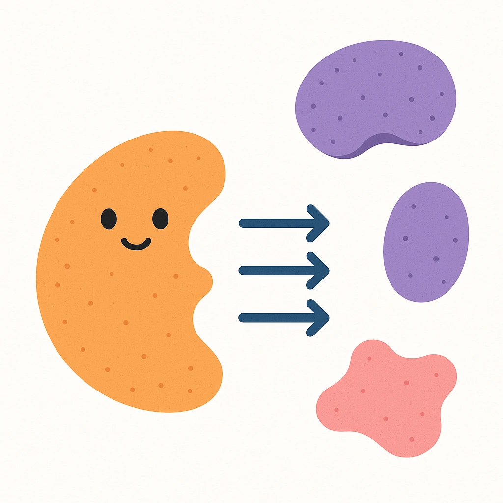 Ultra-detailed scientific illustration  (like in a school book) of enzyme digestion. Macro molecular view, clean white background, no text, no human figures or cartoon characters. Purely biological focus. emoji