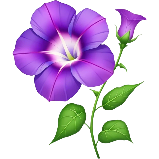 single purple Morning Glorysuper, stem emoji