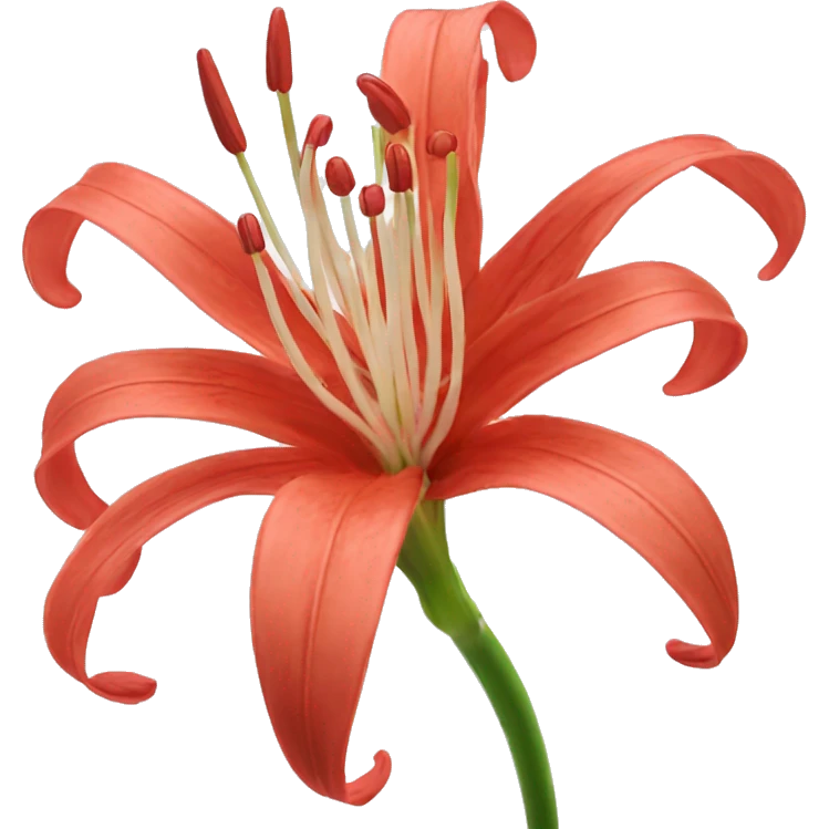 spider lily flower emoji