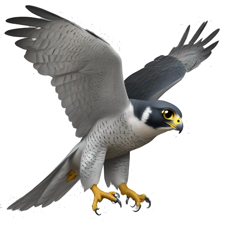 peregrine falcon with ht emoji