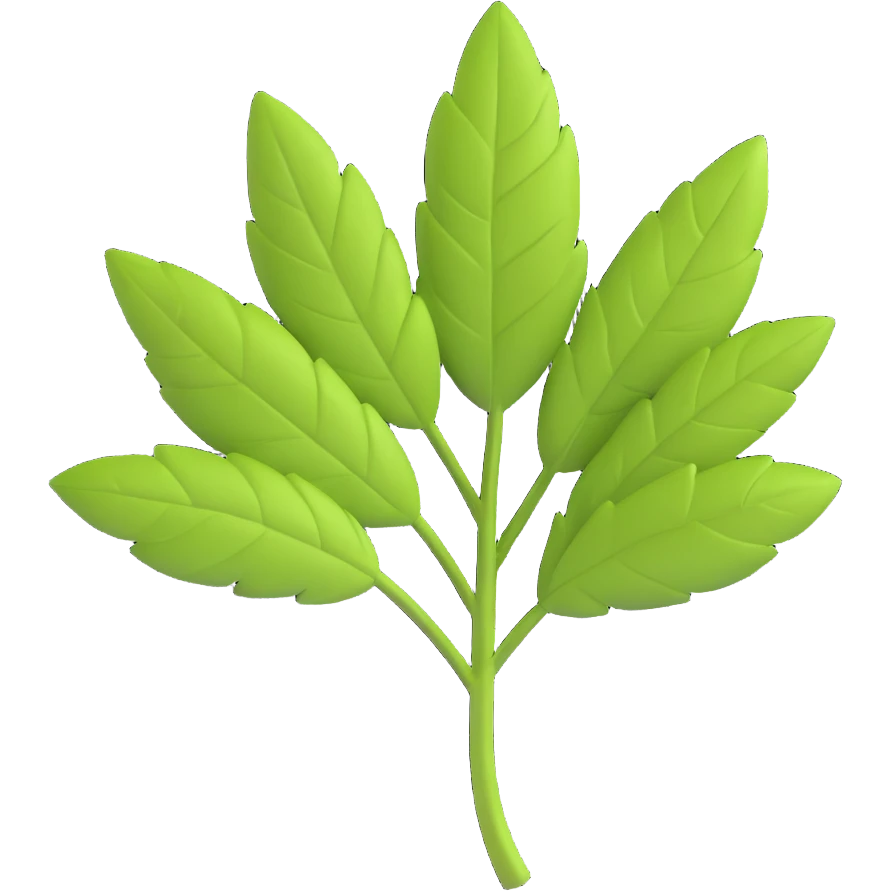 3D emoji style, herb leaf, three-dimensional and lively, no background emoji