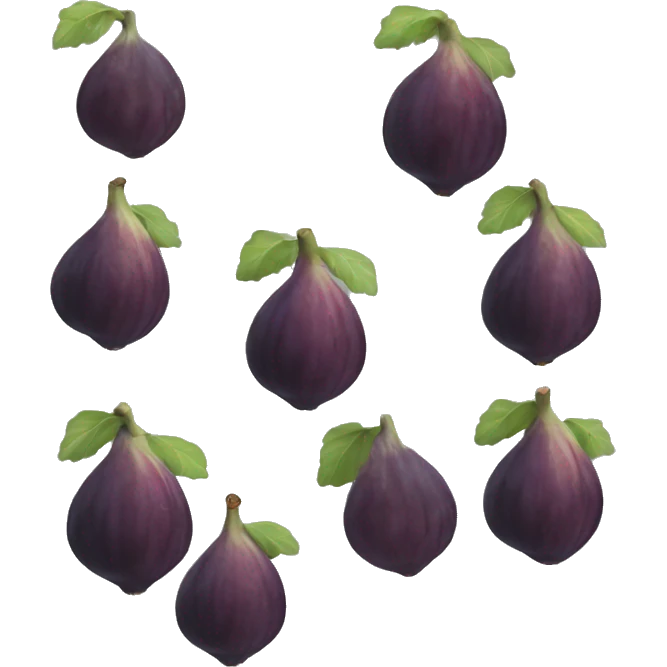 fig the fruit emoji