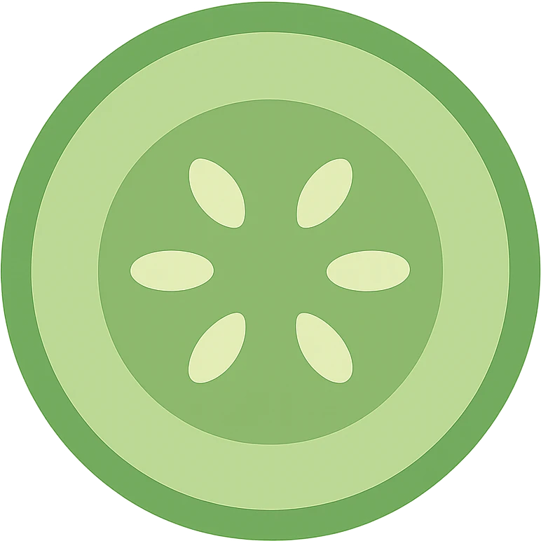 stylized cucumber slice icon, circular shape, seeds, fresh appearance, modern icon style emoji