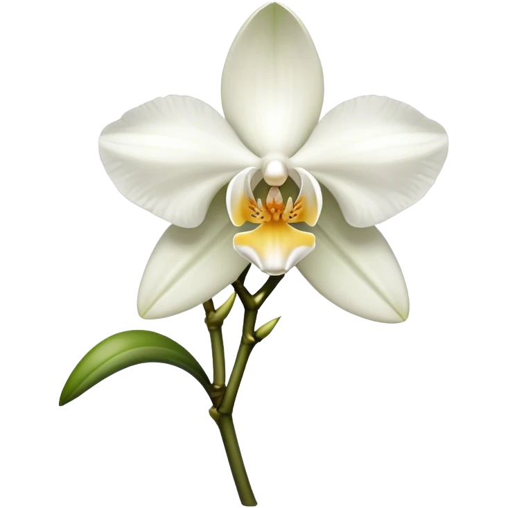 single white Dendrobium Orchid emoji