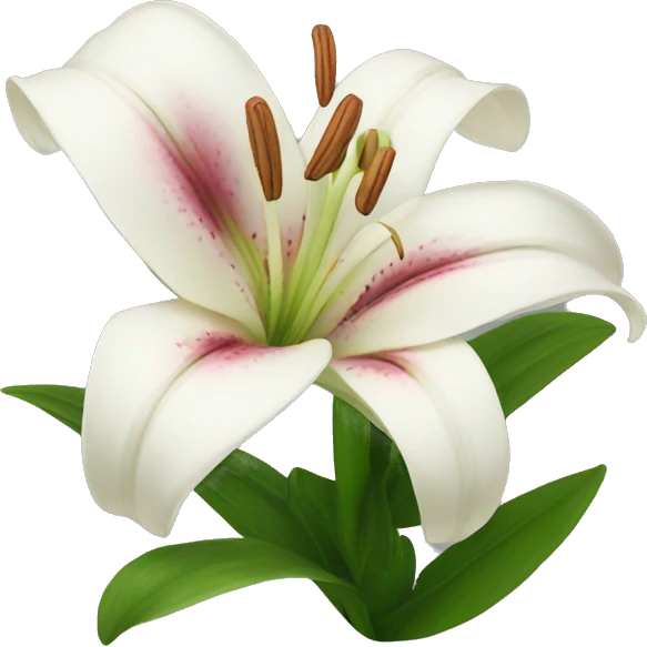 lily flower emoji