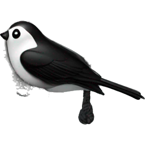 Addams House birdhouse. Wednesday Addams is on the swing  emoji