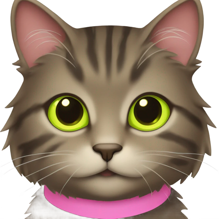 Fluffy dark brown tabby pink collar with lime eyes emoji