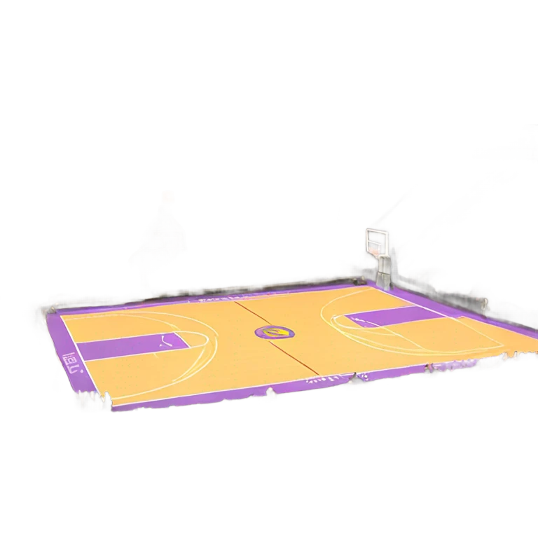 View from courtside seats basketball court emoji