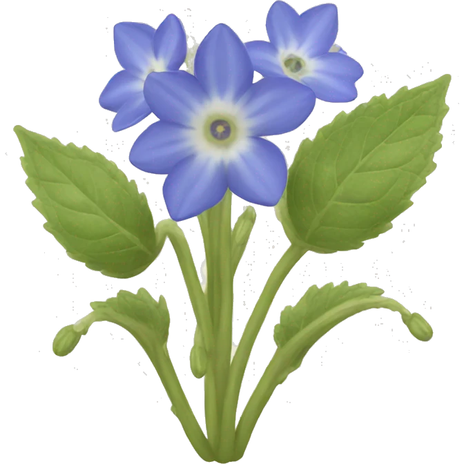 borage emoji