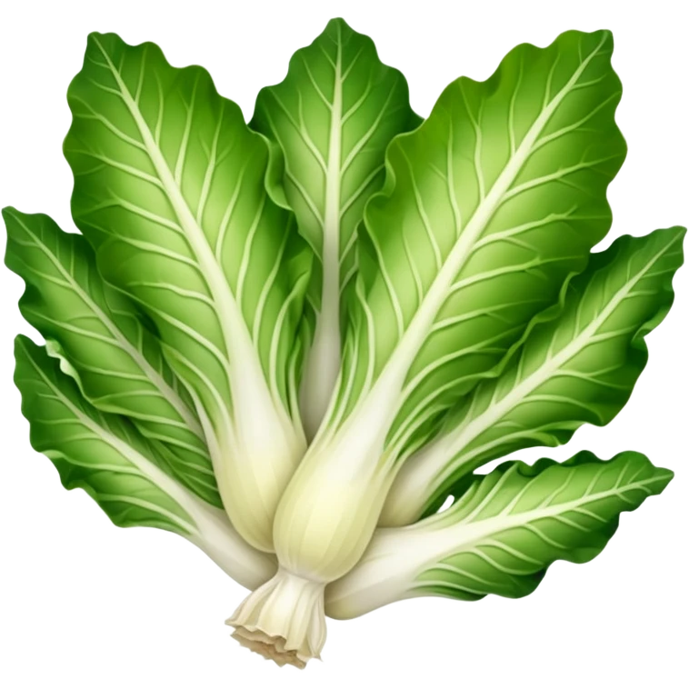 green blegian endive radicchio emoji