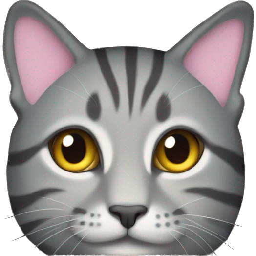 Grey tabby Cat in cardboard box emoji