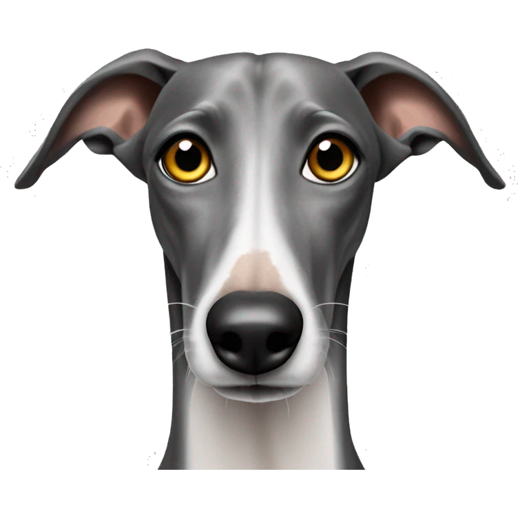 galgo mit zahnweh emoji
