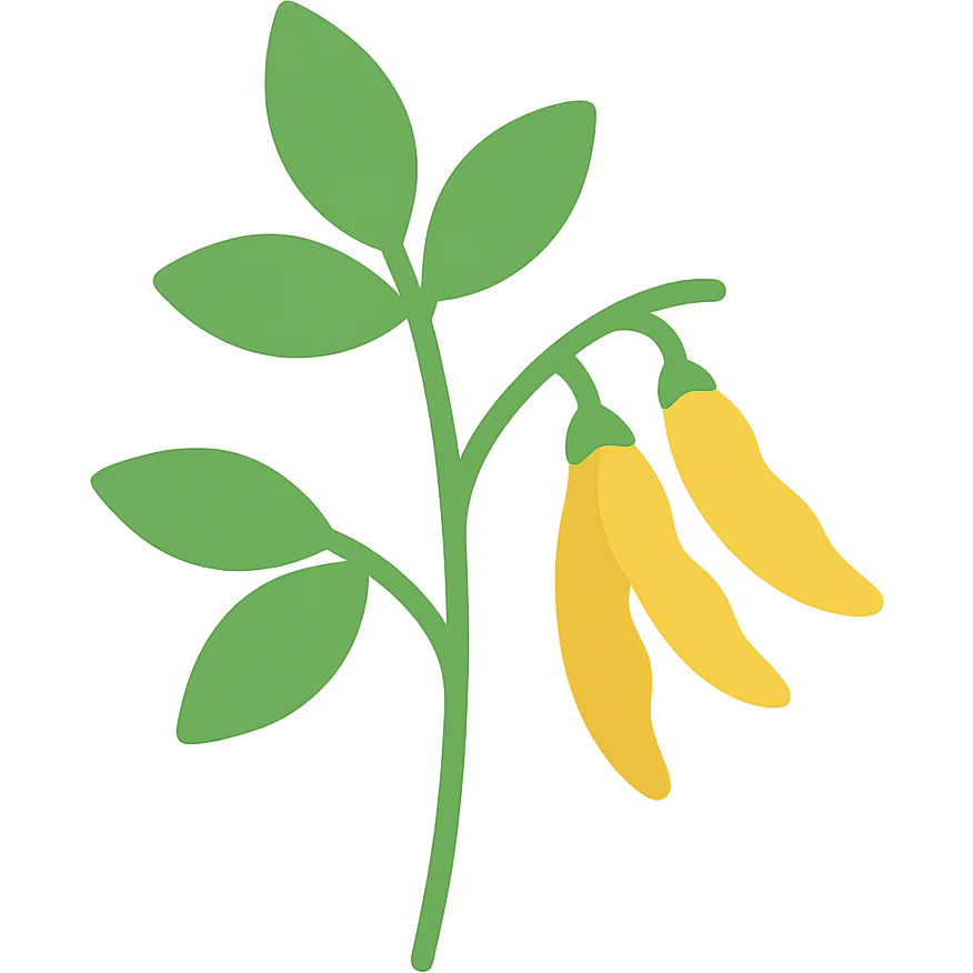 colored icon of a pigeonpea plant with green leaves and yellow pods emoji
