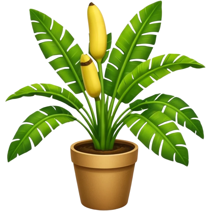 Potted plant, the potted plant contains banana leaves emoji