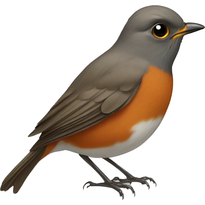 Robin bird emoji