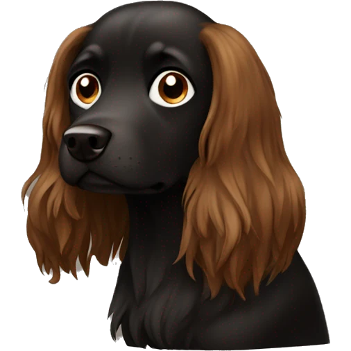Autumn-black-brown-dog-long-hair emoji