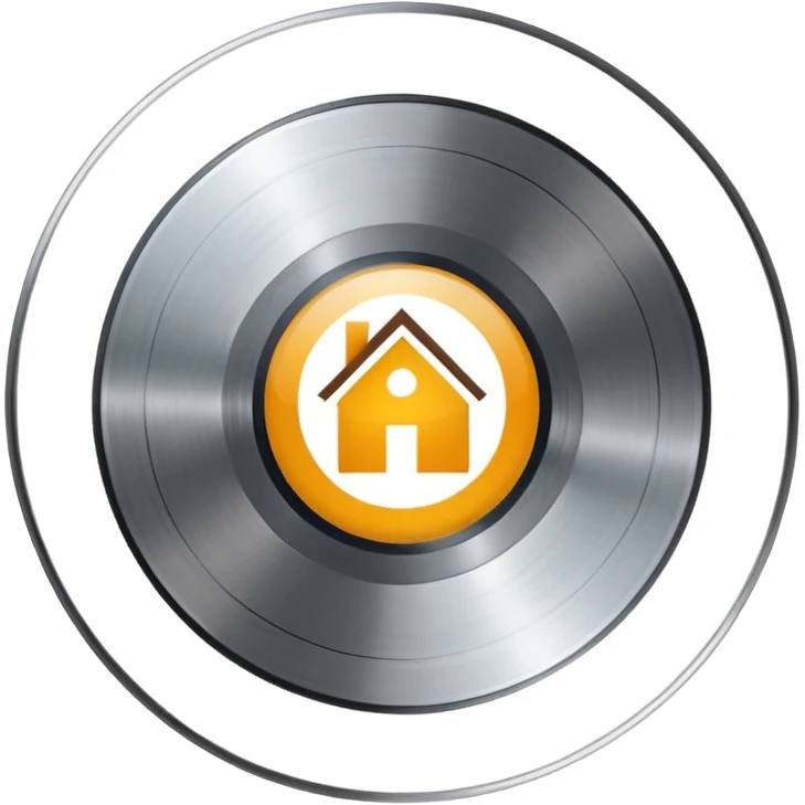 platinum vinyl with a house logo in the middle emoji